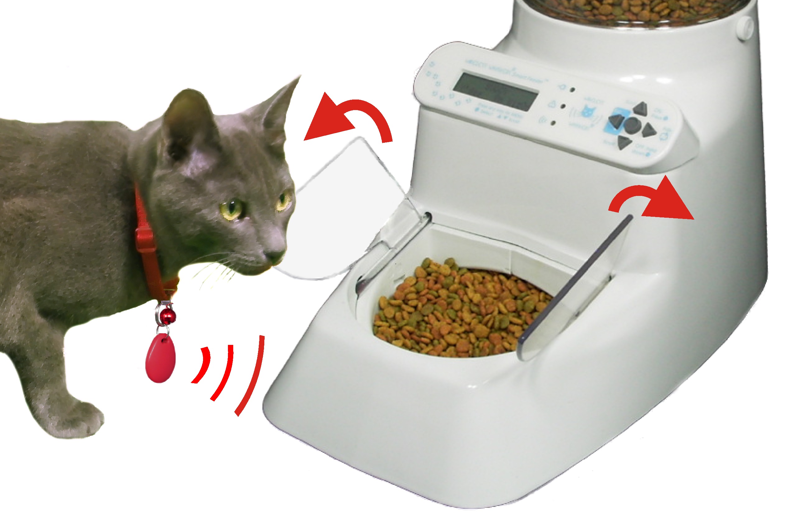 RFID Pet Feeder : Automatic Pet Feeder, Automatic Pet Feeder. Wireless