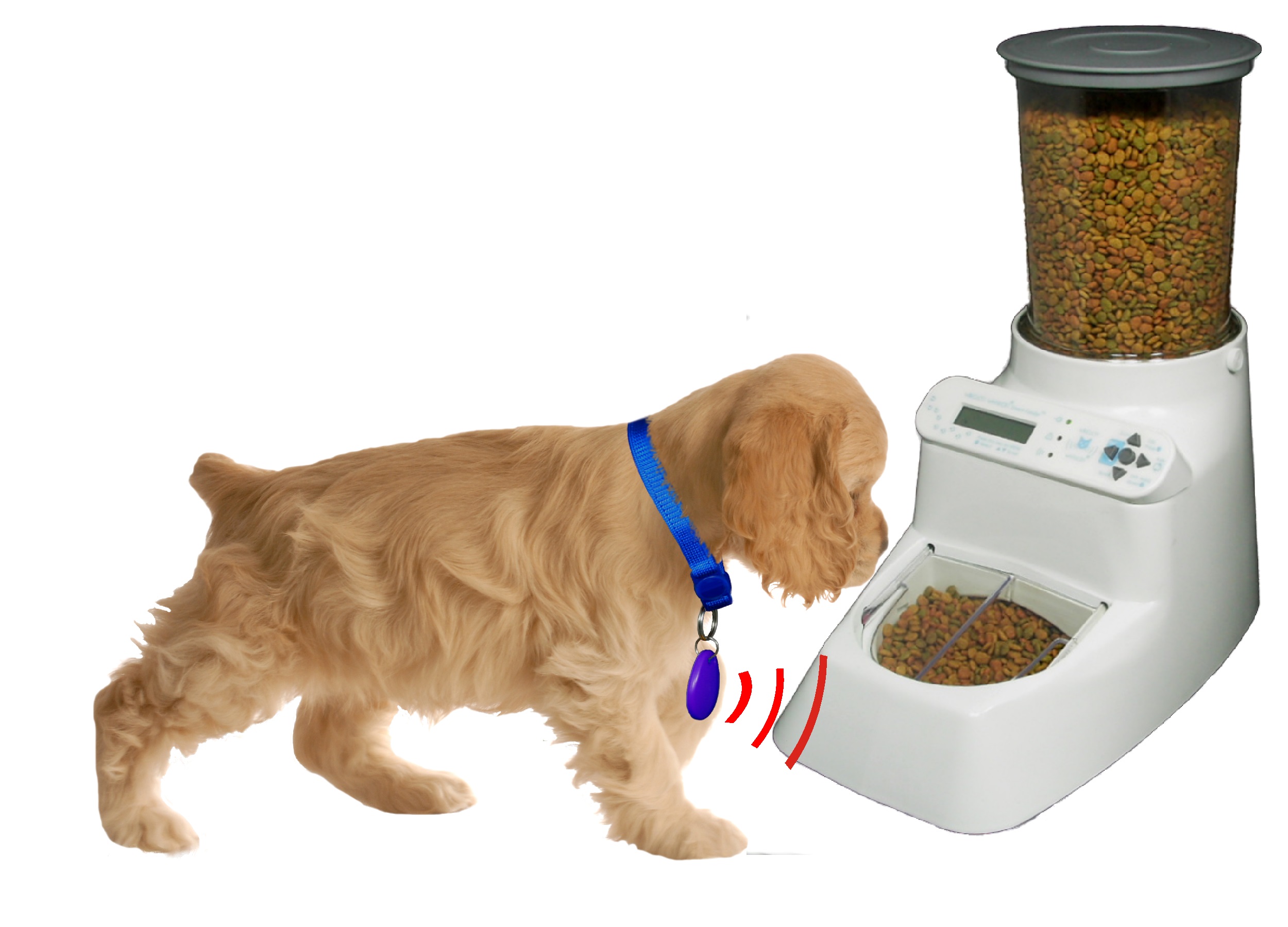 wireless whiskers automatic pet feeder